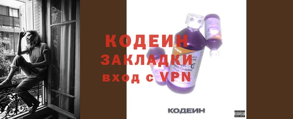 хмурый Верея