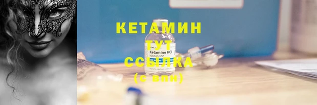 хмурый Верея