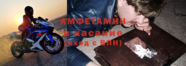 хмурый Верея