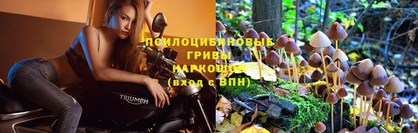 шишки Волосово