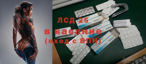 хмурый Верея