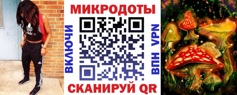 Псилоцибиновые грибы Cubensis  Пойковский 